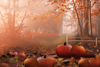 hálaadás őszi levelek Sütőtök, Erdő, Fa kerítés háttér Számítógép nyomtatási gyerekek, gyerekek fotó háttérben